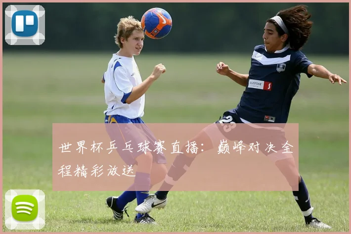 世界杯乒乓球赛直播：巅峰对决全程精彩放送