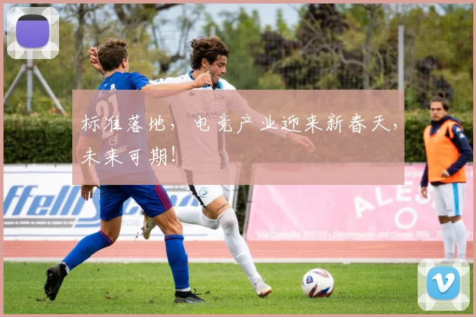 标准落地，电竞产业迎来新春天，未来可期！